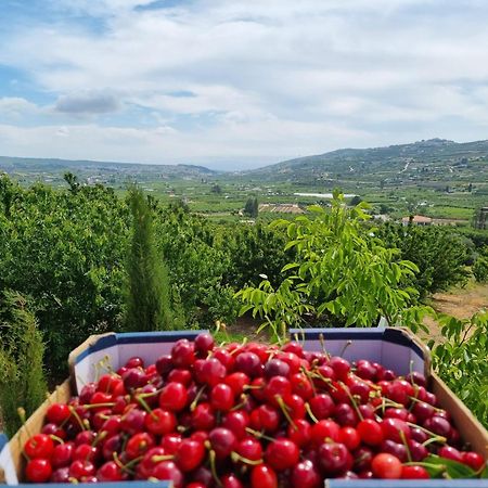 Oriental Nature Majdal Shams Exterior foto