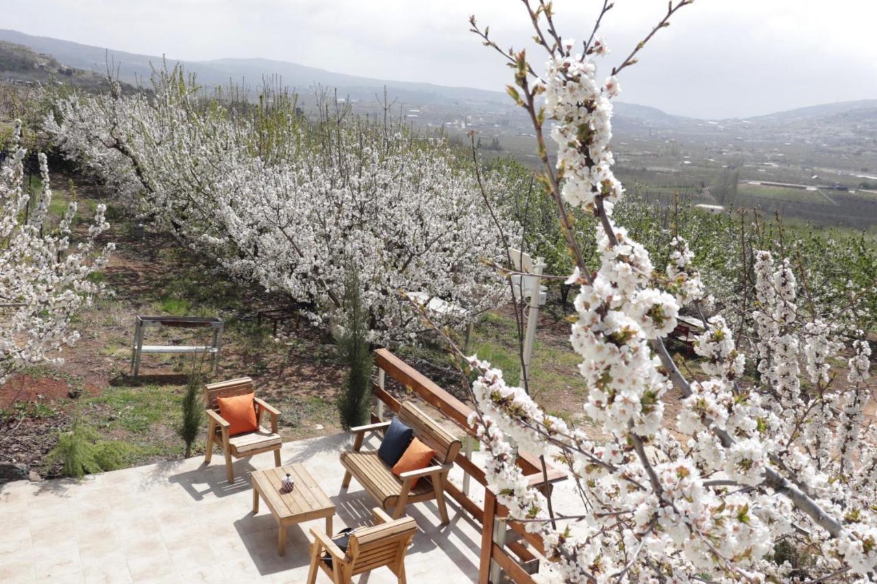 Oriental Nature Majdal Shams Exterior foto