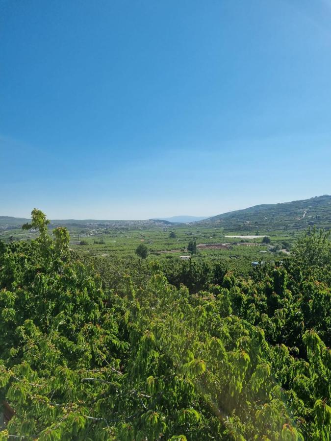 Oriental Nature Majdal Shams Exterior foto