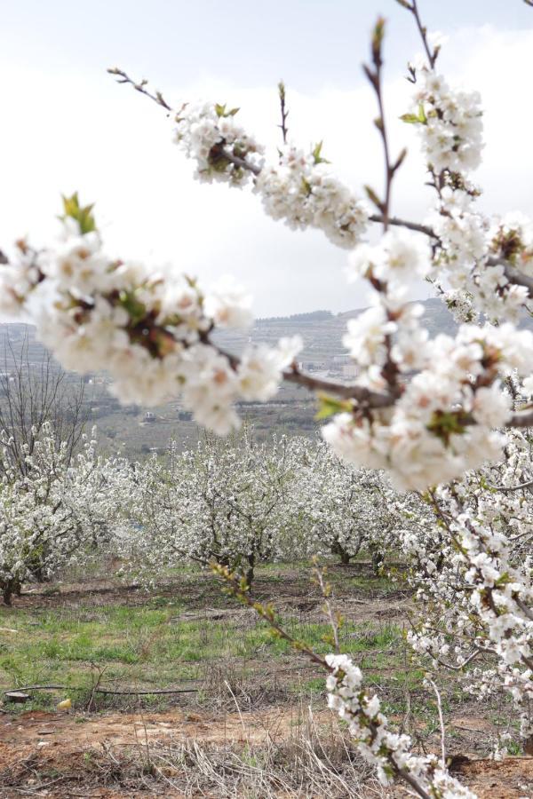Oriental Nature Majdal Shams Exterior foto