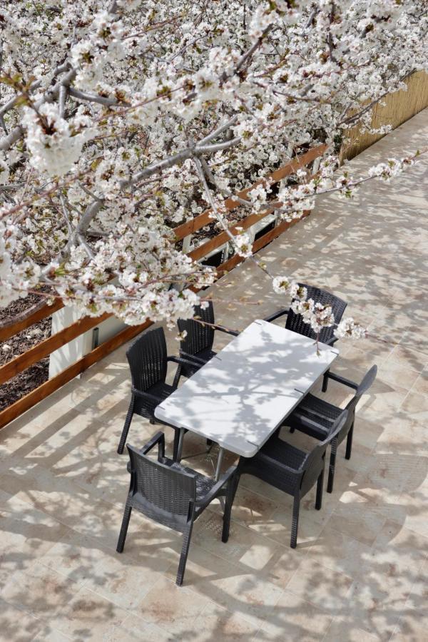 Oriental Nature Majdal Shams Exterior foto